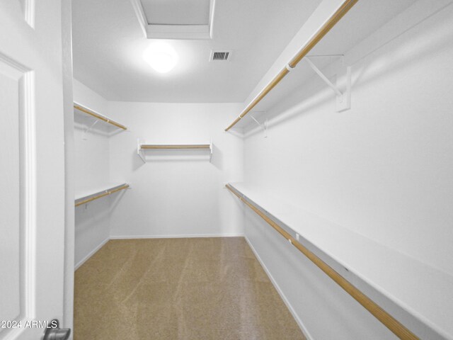 spacious closet featuring carpet flooring