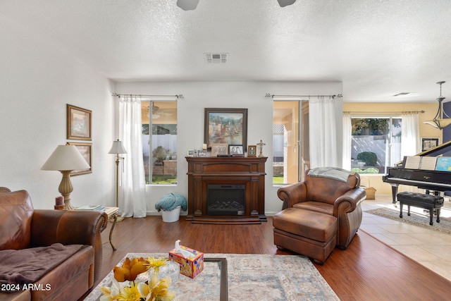 living room featuring hardwood / wood-style floors and a textured ceiling