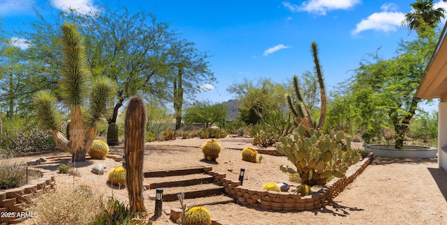8049 E Serene St, Carefree, AZ 85377 - view of yard