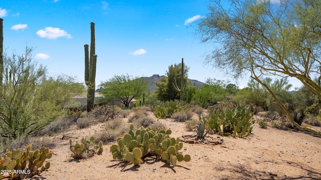 8049 E Serene St, Carefree, AZ 85377 - view of nature featuring mountains
