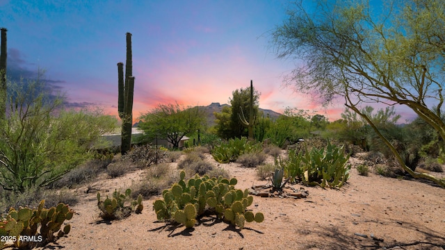 8049 E Serene St, Carefree, AZ 85377 - view of nature with mountains