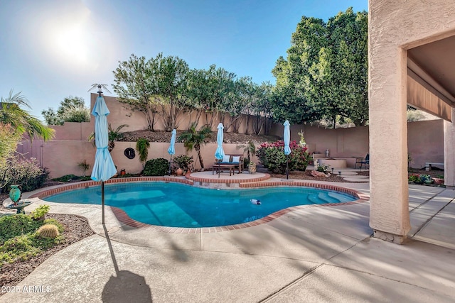 view of pool featuring a patio area