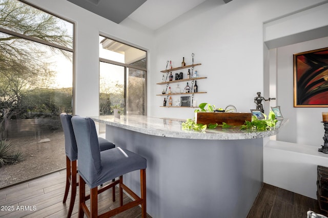 bar featuring wet bar and wood finished floors