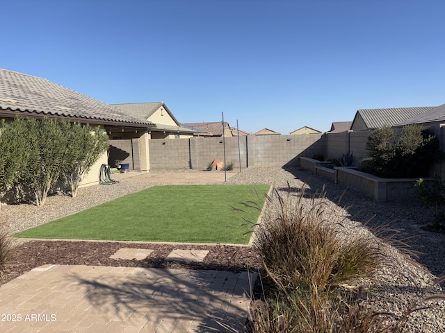 view of yard featuring a patio