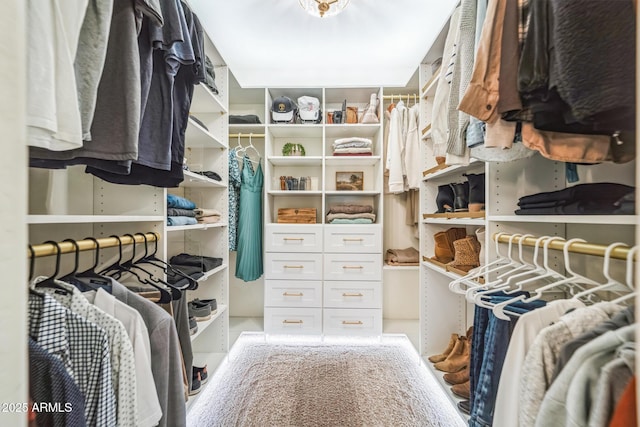 view of walk in closet