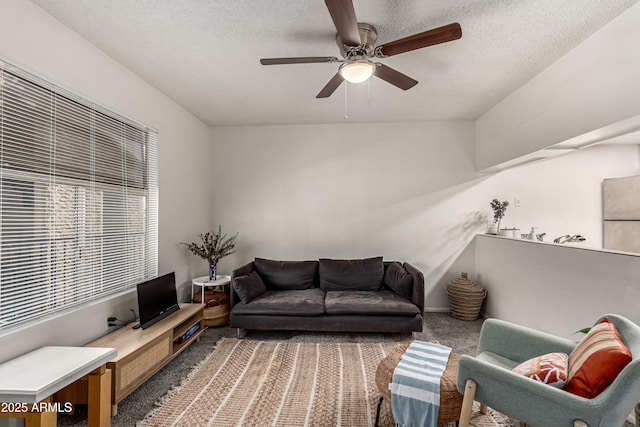 461 W Holmes Ave Unit 350, Mesa, AZ 85210 - carpeted living area with a ceiling fan and a textured ceiling