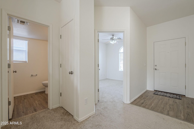 carpeted entryway with a healthy amount of sunlight, visible vents, and baseboards