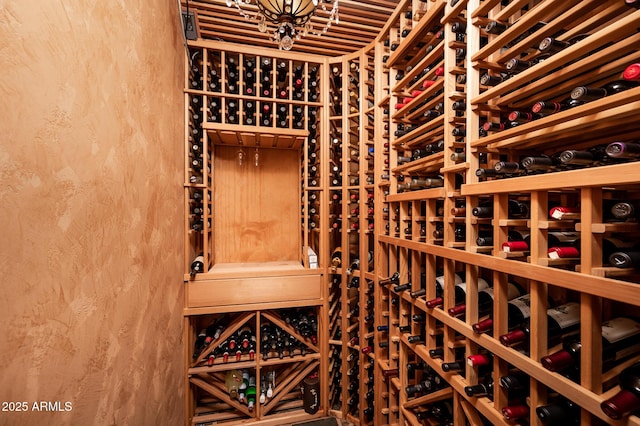 wine cellar featuring a textured wall