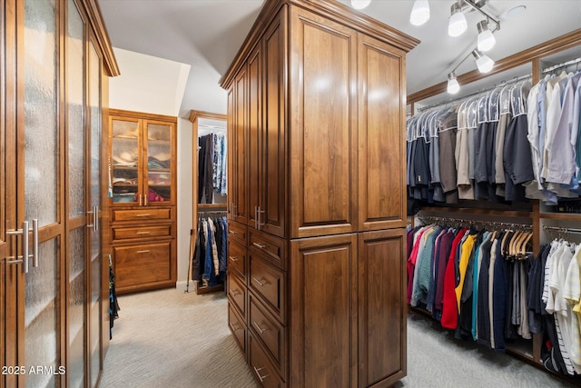 walk in closet with light carpet