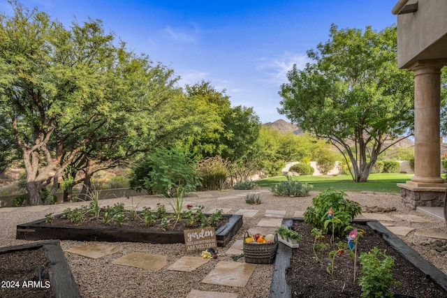 view of yard featuring a mountain view