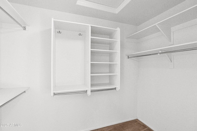 2620 E Rustling Oaks Ln, Phoenix, AZ 85024 - view of walk in closet