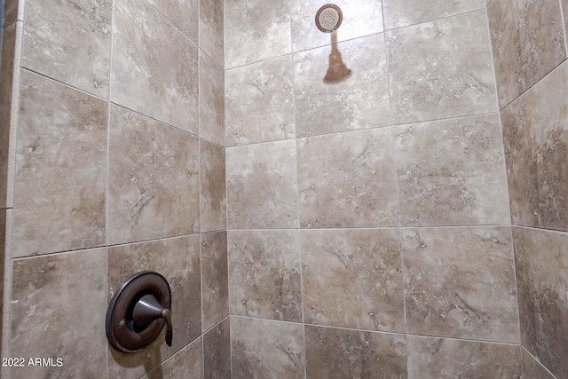 room details with a tile shower