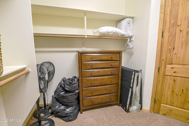 walk in closet with light carpet