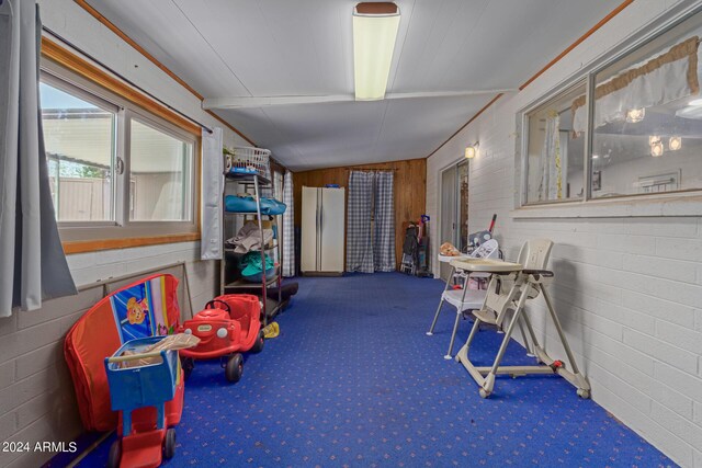 interior space featuring carpet and wooden walls