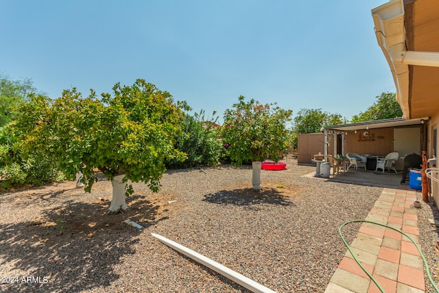 view of yard with a patio area