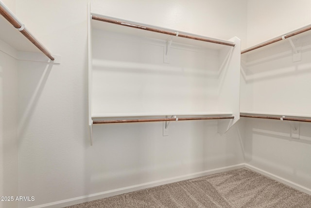 10502 W Bronco Trl, Peoria, AZ 85383 - walk in closet with carpet floors