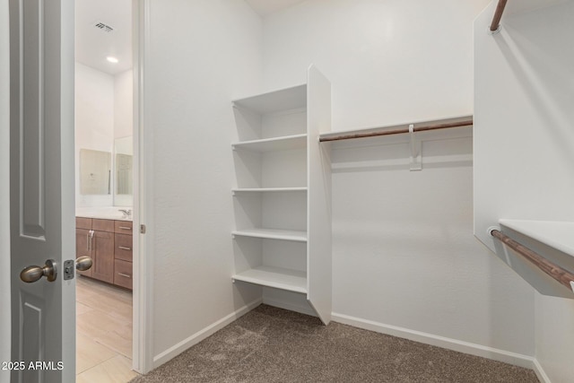 10502 W Bronco Trl, Peoria, AZ 85383 - walk in closet with light colored carpet
