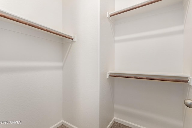 10502 W Bronco Trl, Peoria, AZ 85383 - view of spacious closet