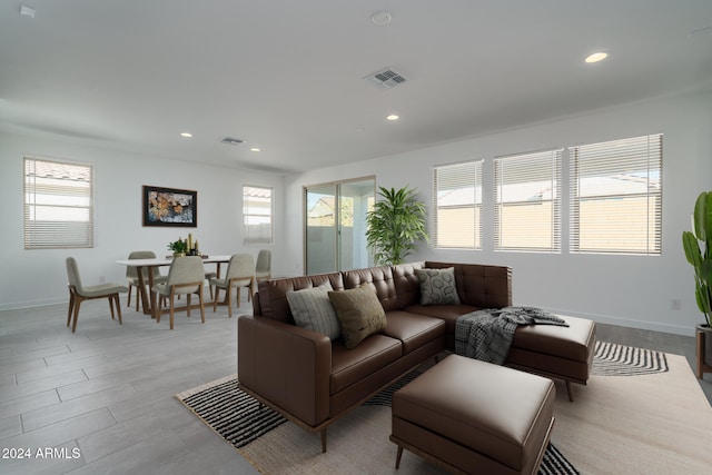 living room with a healthy amount of sunlight and light hardwood / wood-style floors