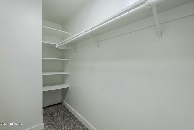 walk in closet featuring dark carpet