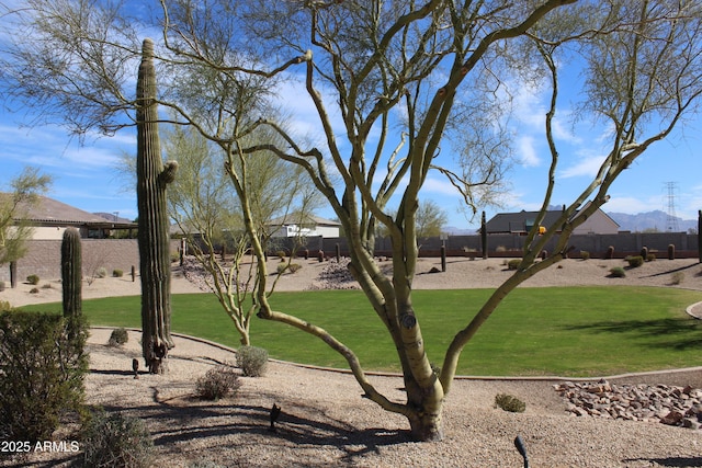 1319 N Chatsworth St, Mesa, AZ 85207 - view of home's community with fence and a lawn