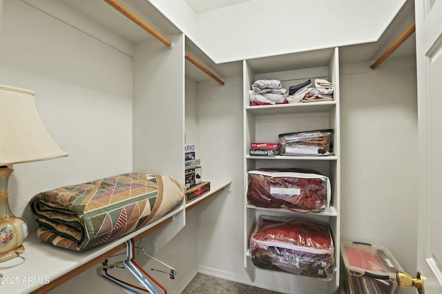 spacious closet with carpet flooring