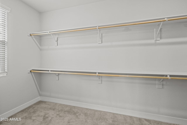 walk in closet featuring light carpet