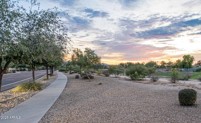 6920 S 46th Dr, Laveen, AZ 85339 - view of community