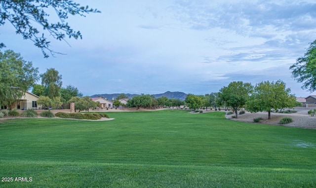 6920 S 46th Dr, Laveen, AZ 85339 - view of home's community with a yard and a mountain view