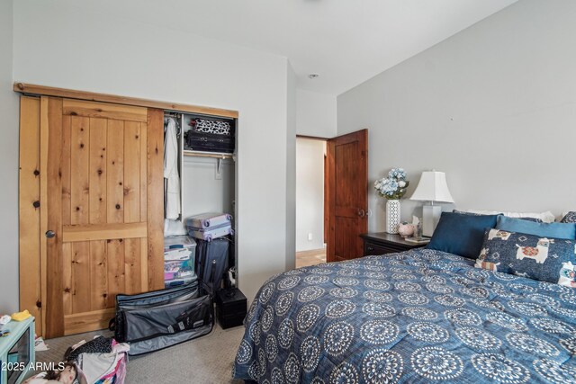21131 E Excelsior Ave, Queen Creek, AZ 85142 - bedroom featuring carpet flooring and a closet