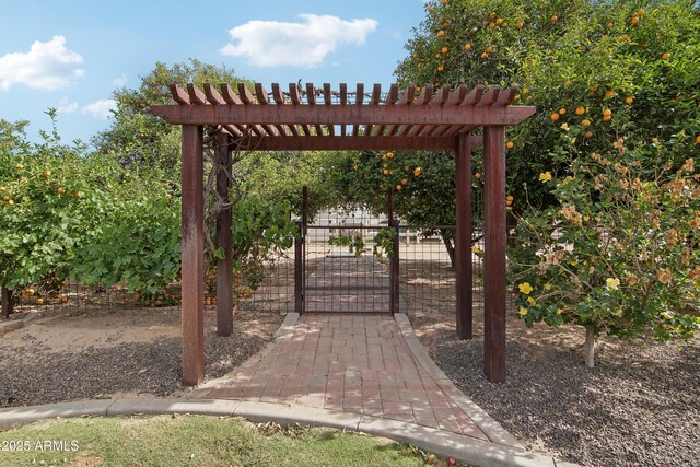 21131 E Excelsior Ave, Queen Creek, AZ 85142 - gate featuring a pergola