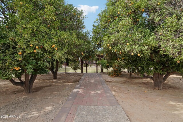 21131 E Excelsior Ave, Queen Creek, AZ 85142 - view of community