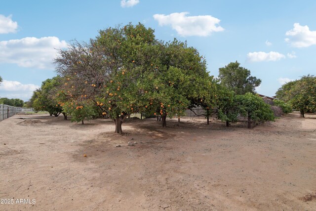 21131 E Excelsior Ave, Queen Creek, AZ 85142 - view of yard with a view of rural / pastoral area and agricultural area