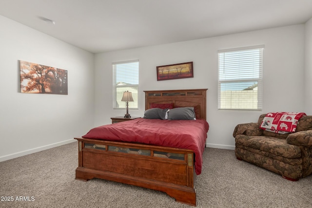 bedroom featuring carpet