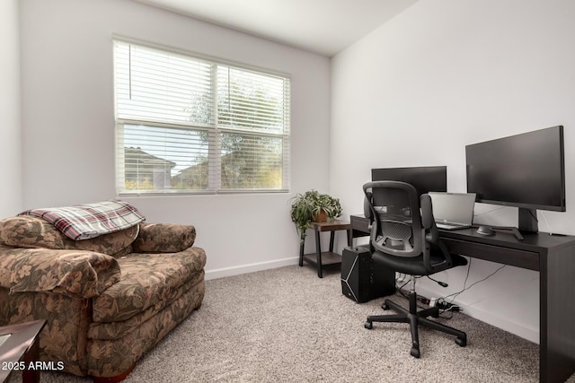 office space featuring light carpet