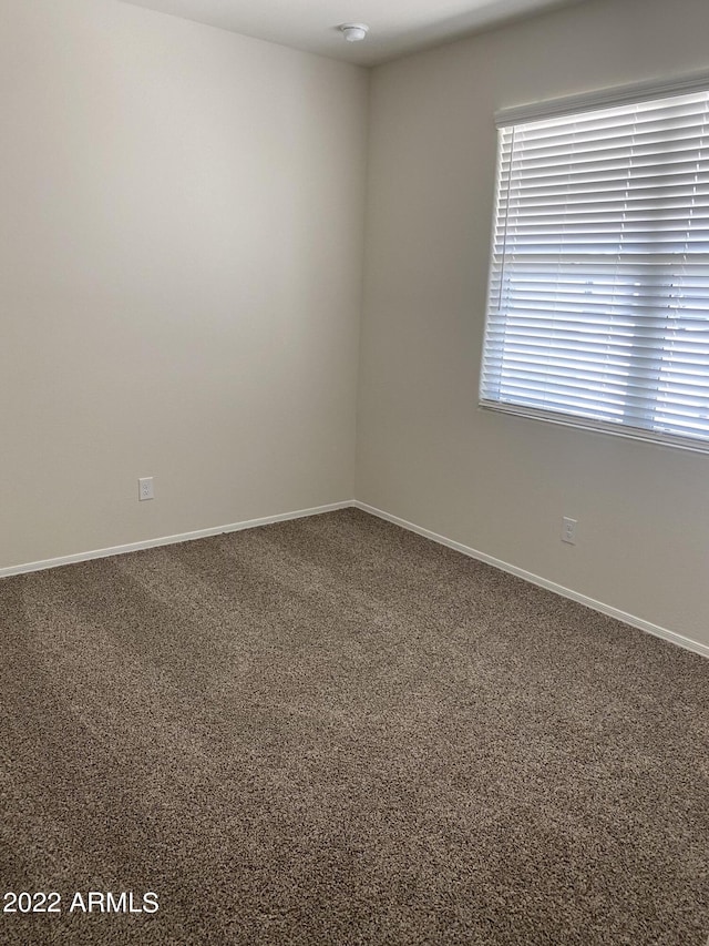 empty room featuring carpet