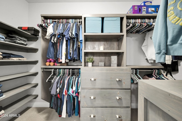 view of spacious closet