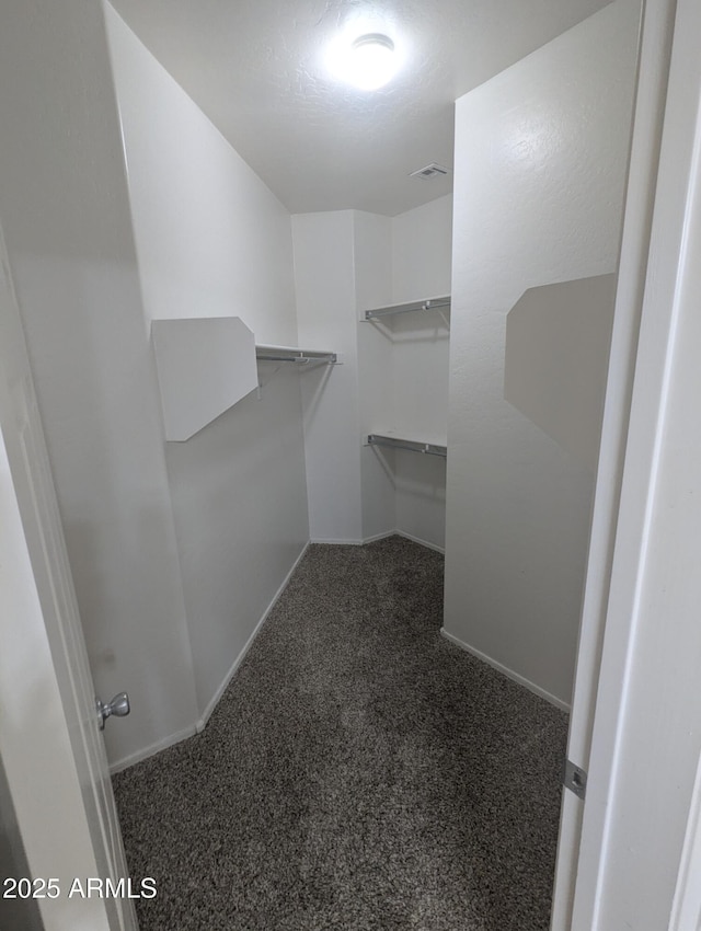 14841 W Desert Hills Dr, Surprise, AZ 85379 - spacious closet with carpet flooring