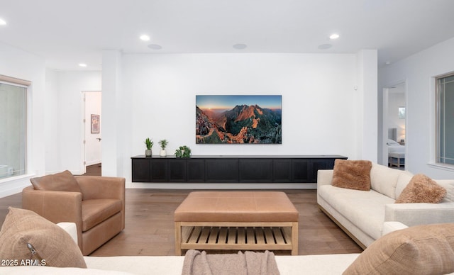 living room with wood-type flooring