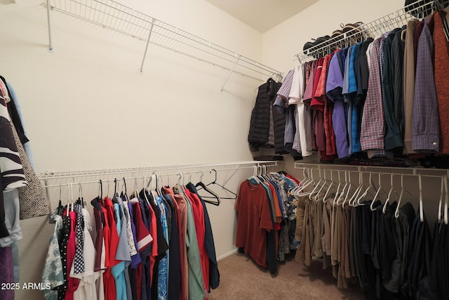 walk in closet with carpet flooring