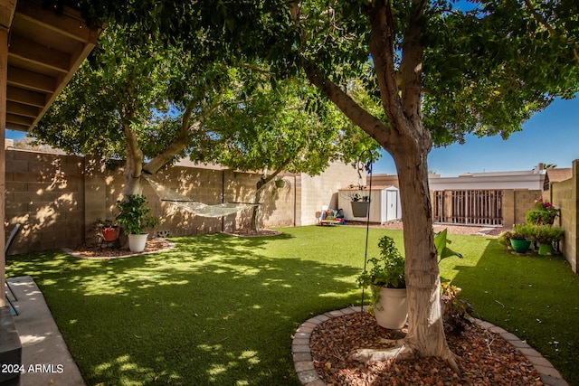 view of yard with a storage shed