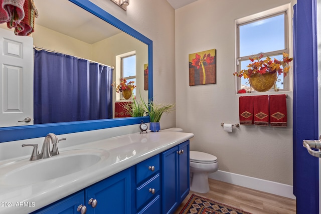 bathroom featuring vanity, hardwood / wood-style flooring, and toilet