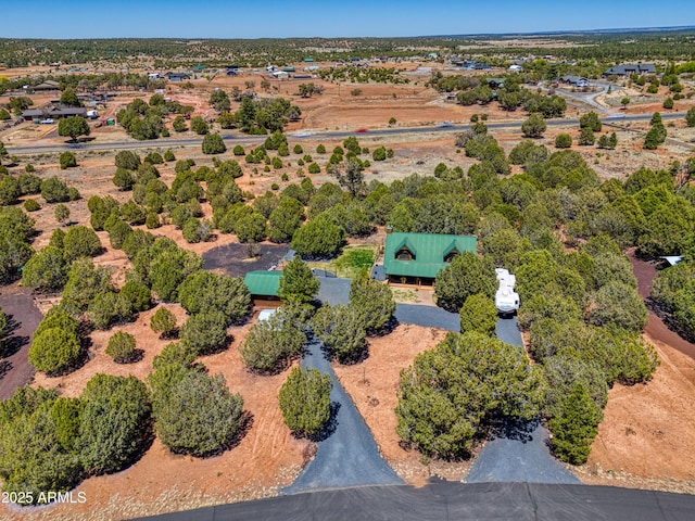 drone / aerial view
