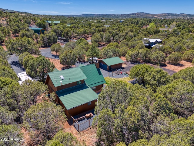 bird's eye view of a forest
