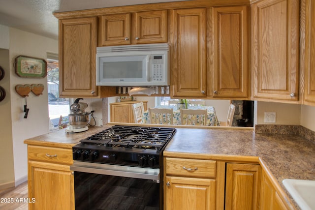 kitchen with stainless steel range with gas cooktop, white microwave, healthy amount of natural light, and light countertops