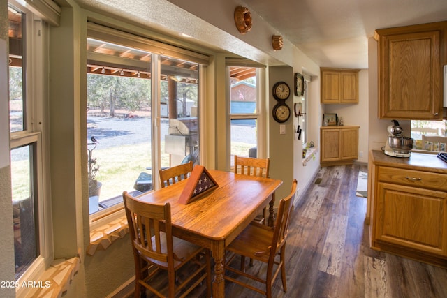 dining space with healthy amount of natural light and dark wood finished floors