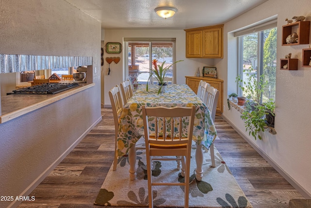 dining area featuring a textured wall, baseboards, and plenty of natural light