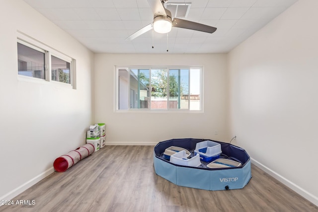 sitting room featuring ceiling fan and light hardwood / wood-style flooring