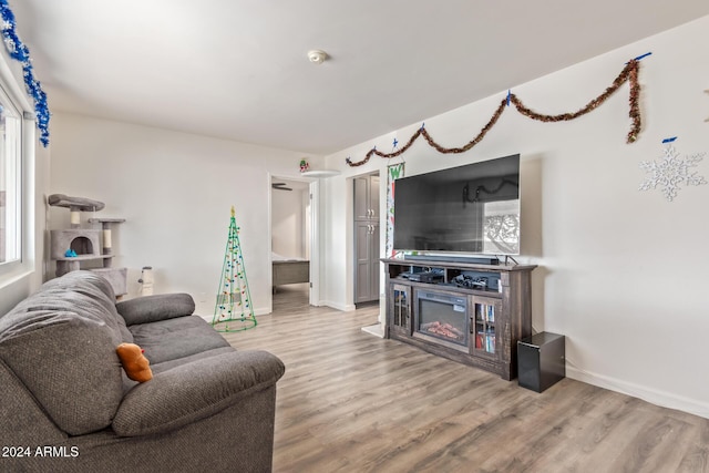 living room with hardwood / wood-style floors