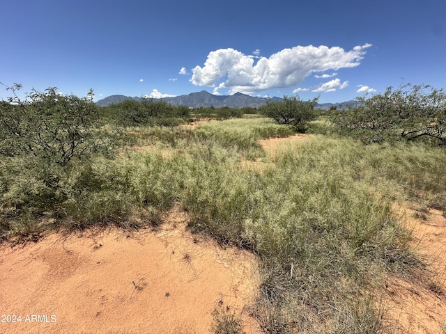 000 E Nevada Dr Unit 36, Hereford AZ, 85615 land for sale